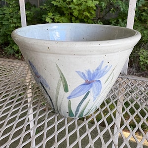 Puede incluir: Un cuenco de cerámica con interior y exterior azul claro. El cuenco está decorado con flores de iris azules y hojas verdes. El cuenco está sobre una superficie metálica blanca.