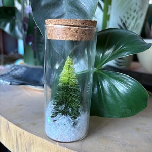 Könnte beinhalten: Ein kleiner Weihnachtsbaum in einem durchsichtigen Glasfläschchen mit Korken. Der grüne Baum steht auf weißen und irisierenden Glitzer, der Schnee imitiert. Das zylindrische Fläschchen ist mit einem Korken verschlossen.
