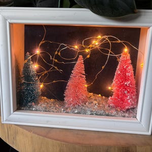 Könnte beinhalten: Ein weiß gerahmter Schattenkasten mit Miniatur-Weihnachtsbäumen und Lichterketten. Die Szene umfasst einen dunklen Hintergrund, drei Flaschenbürstenbäume in Grün und Rot und ein Bett aus reflektierendem Material.