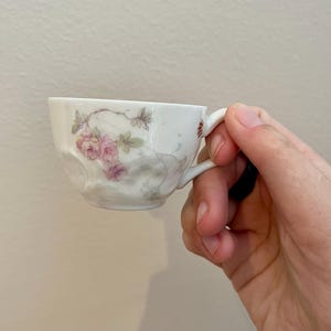 VINTAGE! Dainty Porcelain Handpainted Floral Teacup