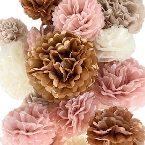 Tissue Paper Pom Pom Set Blush Pink Tissue Paper Flowers Decorations for Baby Shower Backdrop Bridal Shower Decorations 20 piece set