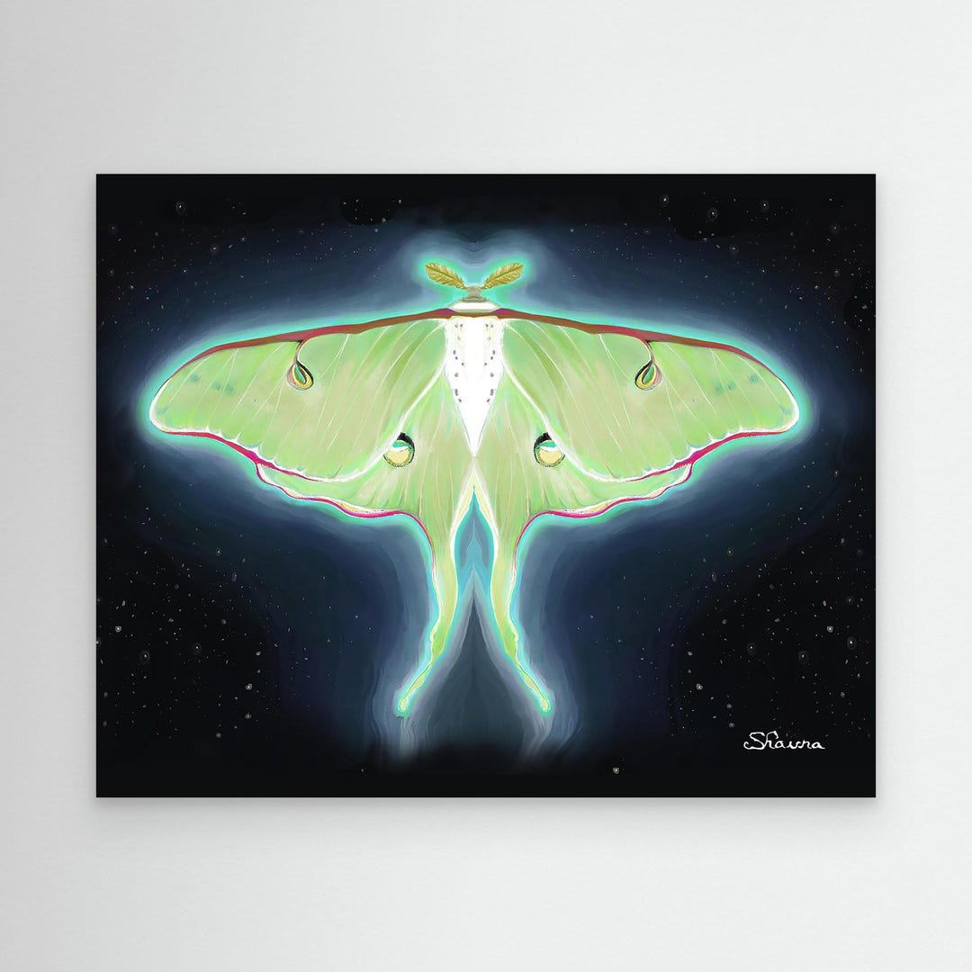 Luna Moth Watercolor Magical Night Wall Art - Etsy