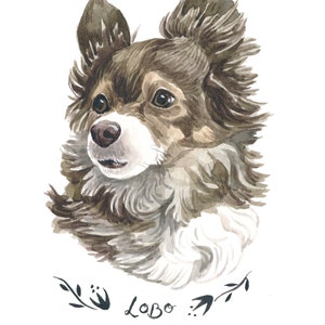 May include: Watercolor portrait of a fluffy dog with brown and gray fur, a white chest, and dark eyes. The dog's name, "Lobo," is written in cursive below the portrait, accompanied by floral accents.