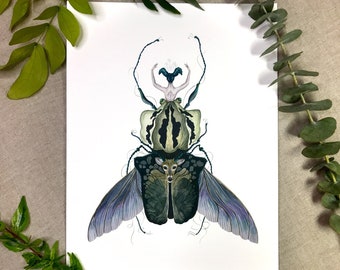 Goliathus_Goliath Beetle_Beetle Art_Archival print of an original watercolor illustration