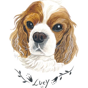 May include: Watercolor portrait of a Cavalier King Charles Spaniel dog. The dog has brown and white fur, with large, dark eyes and a black nose. The name "Lucy" is written in cursive below the dog's head, surrounded by a floral design.