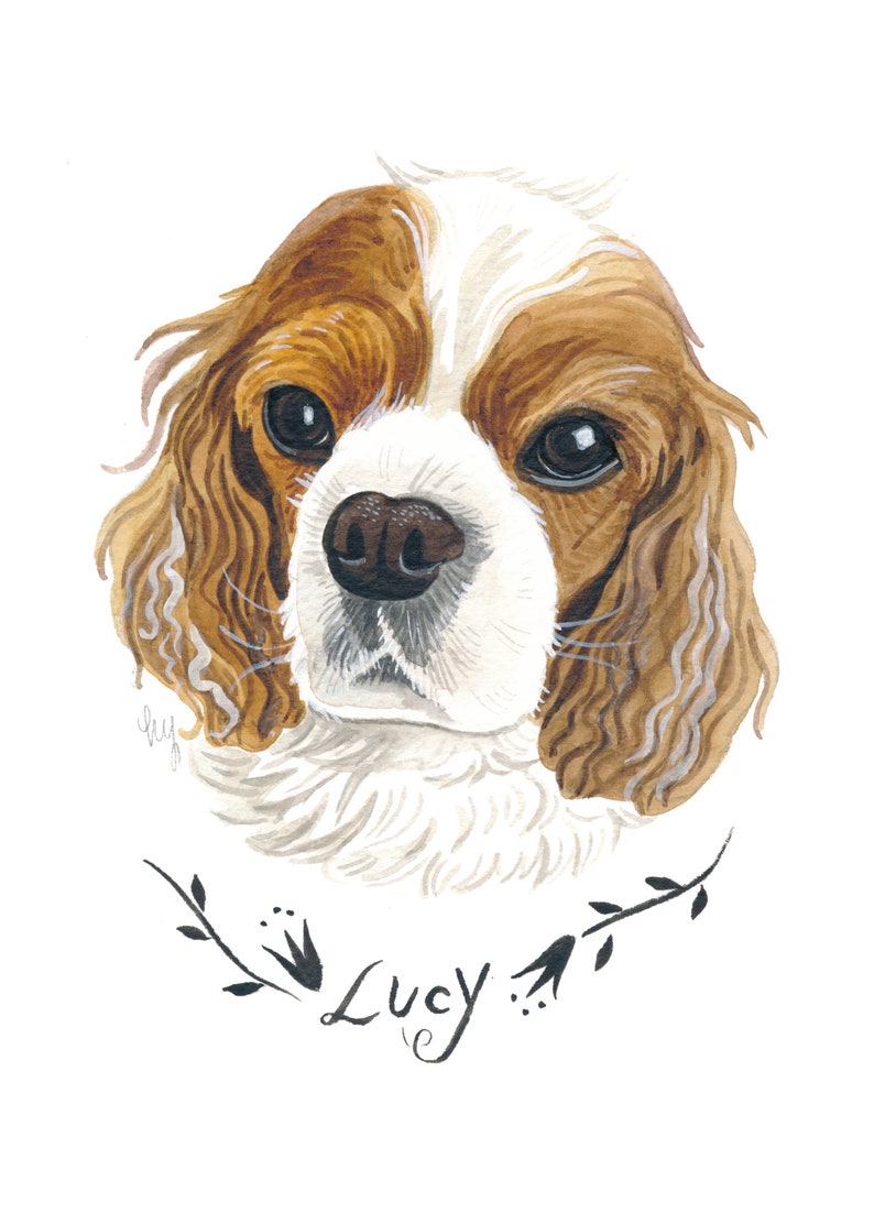 May include: Watercolor portrait of a Cavalier King Charles Spaniel dog. The dog has brown and white fur, with large, dark eyes and a black nose. The name "Lucy" is written in cursive below the dog's head, surrounded by a floral design.