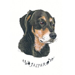 Pu&ograve; includere: Ritratto ad acquerello di un cane di nome Jasper. Il cane ha pelo nero e marrone, con un naso nero e occhi marroni. Il nome "Jasper" &egrave; scritto in corsivo sotto la testa del cane, circondato da elementi floreali.