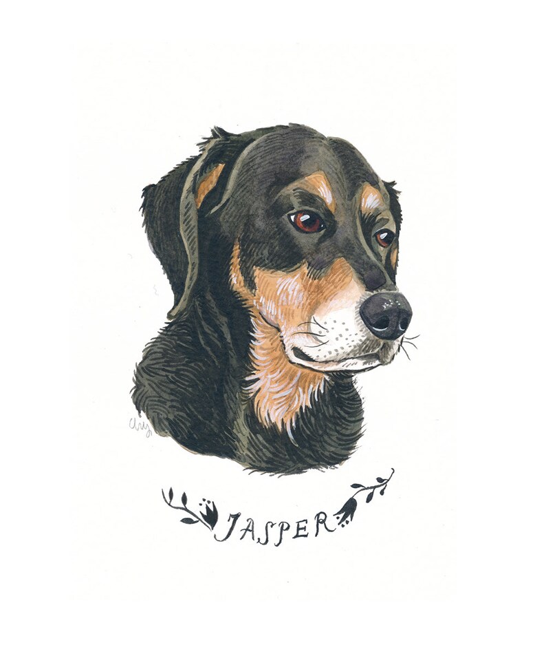 Pu&ograve; includere: Ritratto ad acquerello di un cane di nome Jasper. Il cane ha pelo nero e marrone, con un naso nero e occhi marroni. Il nome "Jasper" &egrave; scritto in corsivo sotto la testa del cane, circondato da elementi floreali.