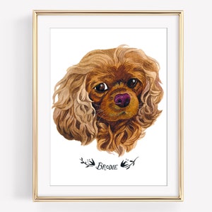 May include: A framed watercolor portrait of a Cavalier King Charles Spaniel dog. The dog has long, wavy brown fur, a pink nose, and dark eyes. The name "Brodie" is written below the portrait in a decorative font.