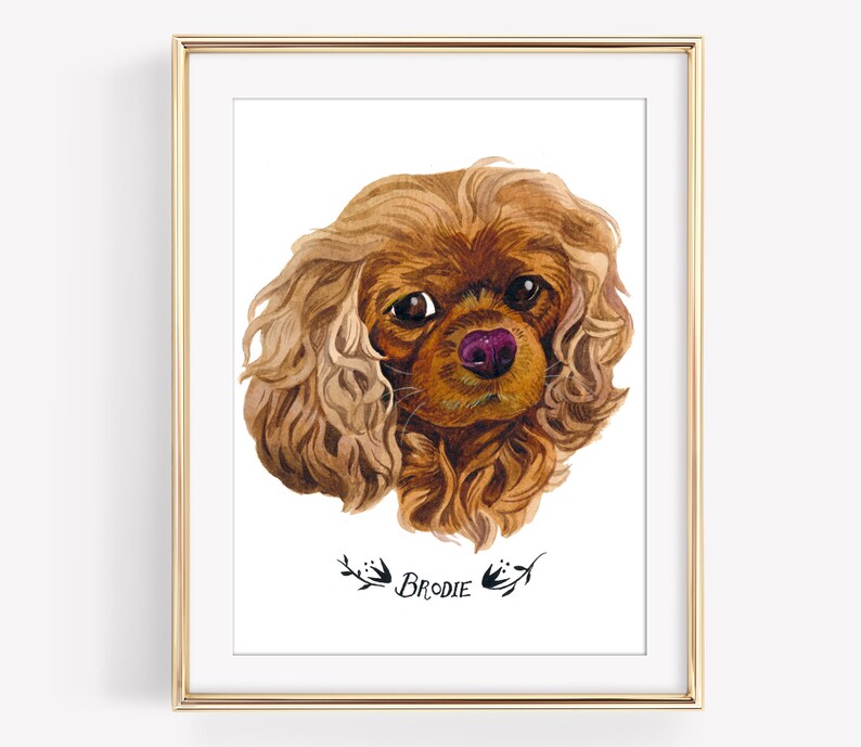 May include: A framed watercolor portrait of a Cavalier King Charles Spaniel dog. The dog has long, wavy brown fur, a pink nose, and dark eyes. The name "Brodie" is written below the portrait in a decorative font.