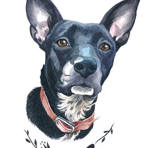Pu&ograve; includere: Ritratto ad acquerello di un cane nero con occhi marroni, con un collare rosso. Il nome del cane, "LYLA", &egrave; scritto in corsivo sotto, insieme ad accenti floreali. L'opera d'arte &egrave; su sfondo bianco.