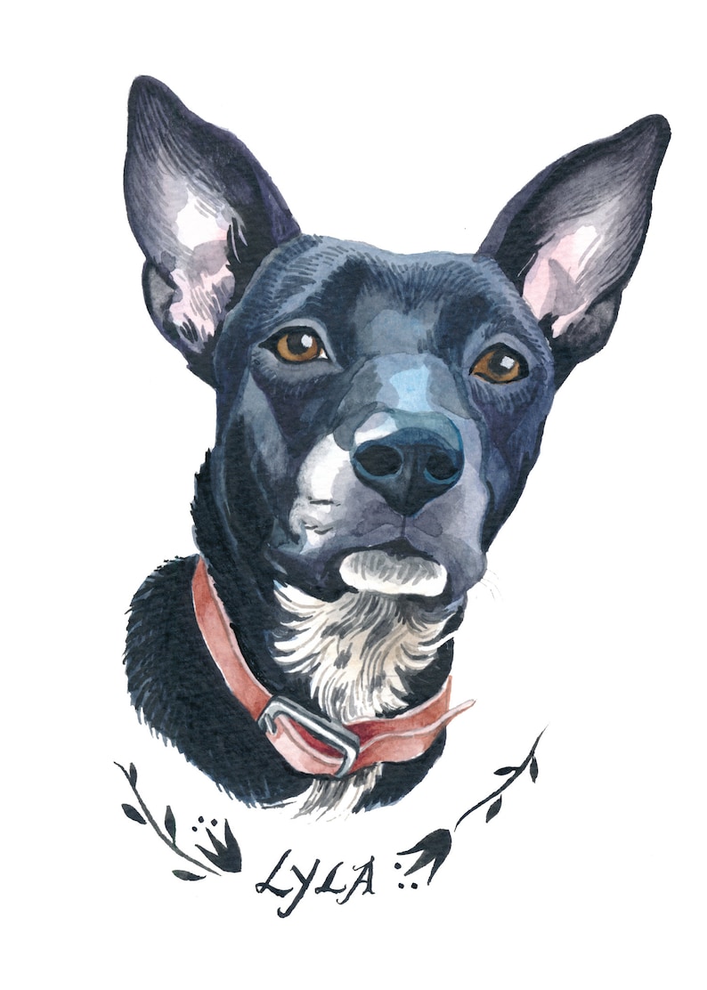 Pu&ograve; includere: Ritratto ad acquerello di un cane nero con occhi marroni, con un collare rosso. Il nome del cane, "LYLA", &egrave; scritto in corsivo sotto, insieme ad accenti floreali. L'opera d'arte &egrave; su sfondo bianco.