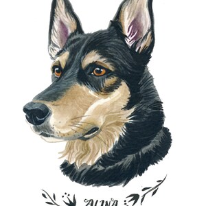 Pu&ograve; includere: Ritratto ad acquerello di un cane con pelo nero, marrone e crema e occhi color ambra. Il nome del cane, "Alina", &egrave; scritto in corsivo sotto il ritratto, incorniciato da un elemento floreale decorativo. L'opera &egrave; su sfondo bianco.