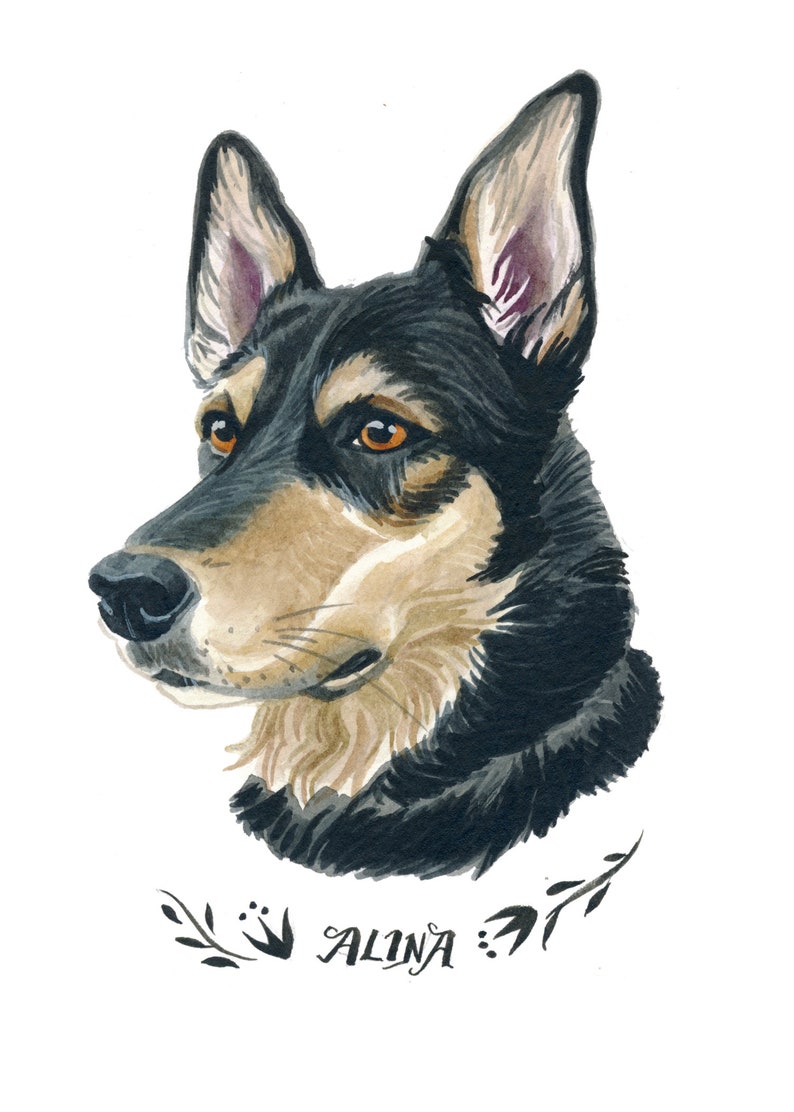 Pu&ograve; includere: Ritratto ad acquerello di un cane con pelo nero, marrone e crema e occhi color ambra. Il nome del cane, "Alina", &egrave; scritto in corsivo sotto il ritratto, incorniciato da un elemento floreale decorativo. L'opera &egrave; su sfondo bianco.