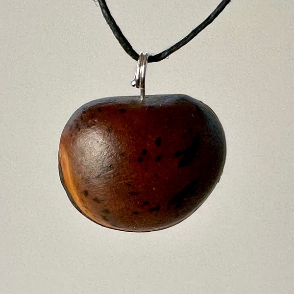 Sea Bean Pendant from Kauai Hawaii - Silver, Brown Purse - AKA: Hamburger Seed, Sea Purse, Mucuna, Bulls Eye, Drift Seed, Ox Eye, Lucky Seed