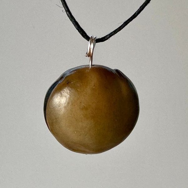 Sea Bean Pendant from Kauai Hawaii - Silver, Tan - AKA: Hamburger Seed, Sea Purse, Mucuna, Bull's Eye, Drift Seed, Ox Eye, Lucky Seed