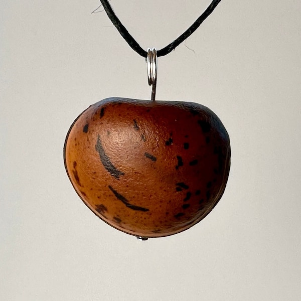 Sea Bean Pendant from Kauai Hawaii - Silver, Brown Purse - AKA: Hamburger Seed, Sea Purse, Mucuna, Bulls Eye, Drift Seed, Ox Eye, Lucky Seed