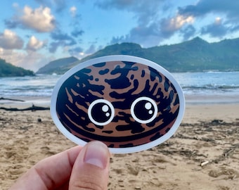 Sea Bean Buddy Sticker: Lucky - Hydroflask Yeti Laptop Decal - Hamburger Bean, Sea Purse, Mucuna, Bull's Eye, Ox Eye Seed, Drift Seeds