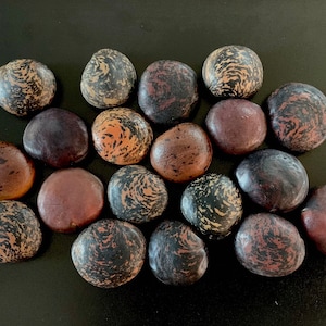 Sea Beans from Kauai Hawaii - AKA: Hamburger Sea Bean, Sea Purse, Mucuna, Bull&#39;s Eye, Drift Seeds, Ox Eye Seeds - Surf Tumbled & Unpolished