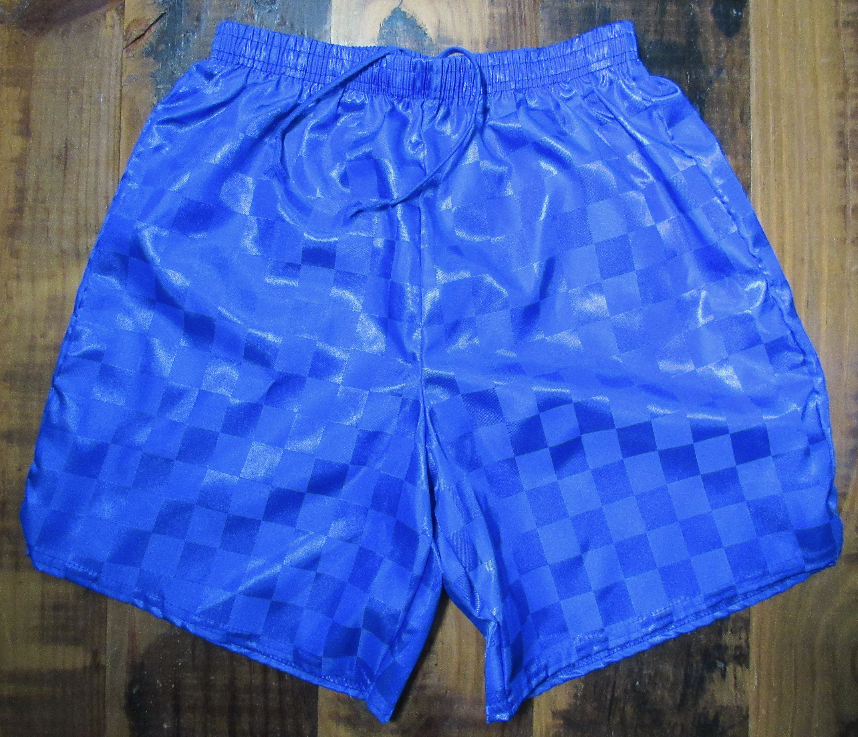 Shiny Nylon Shorts - Etsy