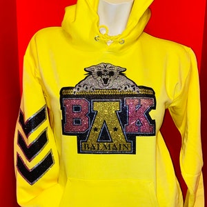 Blingy Yellow or Pink hoodie-FULL HOODIE w/CHEVRONS (hoodie is Unisex)