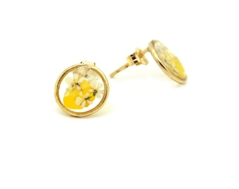 Earrings Pressed Natural Flowers Jasmine Torilis White Gold Gold Filled 14k 10 mm