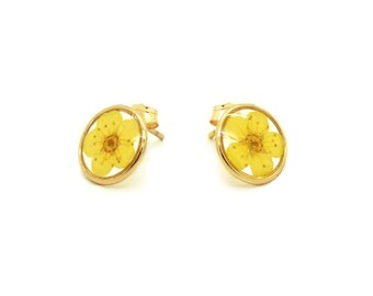 Earrings Pressed natural flowers Yellow flowers Gold gold filled 14k 10 mm