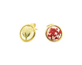 Earrings Pressed Natural Flowers Gypsophile Torilis Red Gold Gold Filled 14k 10 mm