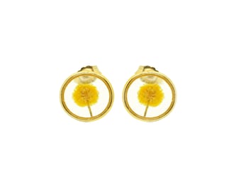 Earrings Pressed Natural Flowers MIMOSA Gold Gold Filled 14k 10 mm