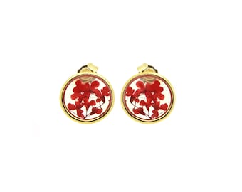 Earrings Pressed Natural Flowers Torilis Gold gold filled 14k 10 mm