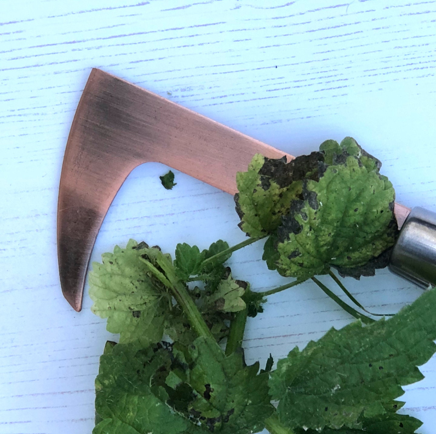 Copper Plated Garden Weeding Tool Can Be Personalised Gift Etsy