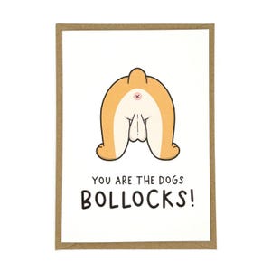 Vous êtes les chiens B*llocks | Carte fantaisie