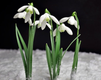 Tarjeta con foto de campanillas de invierno / Tarjetas de campanillas de invierno con te amo / Tarjeta con flores de campanillas de invierno de primavera / Tarjeta de celebración de cumpleaños con campanillas de invierno / Heartycards / Tarjeta de arte