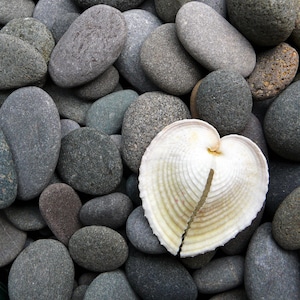 Heart Shell Beach Photo Card | Birthday Seaside Heart Cards | Unique Beach Heart Sculpture Card | Love You Heart Shell Card | Heartycards
