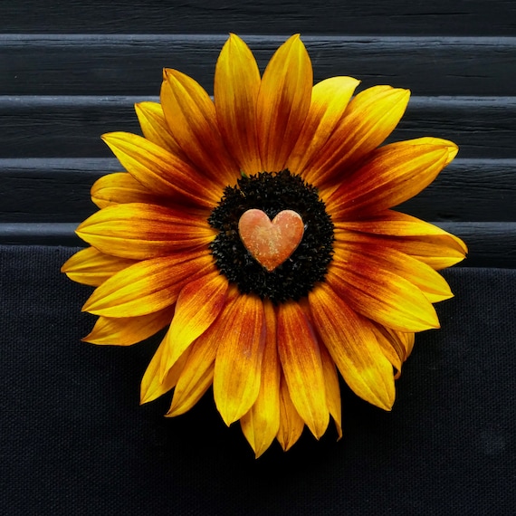 Heart Sunflower Card Sunflower Photo Card Birthday Heart Etsy