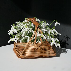 Schneeglöckchen Foto Karte | Herzige Karten | Schneeglöckchen Liebe Karte | Einzigartige Korb der Schneeglöckchen Karte | Schneeglöckchen Karte | Frühlings-Schneeglöckchen-Karte