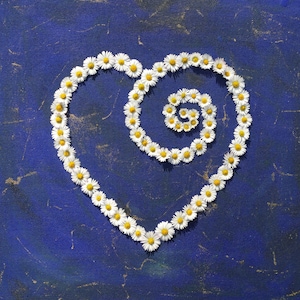 Cartão de foto Daisy Heart Love You | Cartão Daisy Heart | Heartycards | Cartão Flower Heart com fundo pintado em lápis-lazúli | Cartão exclusivo Love you Daisy