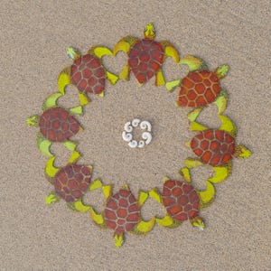 Tarjeta fotográfica con forma de corazón de tortuga / Heartycards / Tarjeta fotográfica con arte de corazón / Tarjeta única con forma de corazón / Tarjeta con forma de caparazón de tortuga / Tarjeta con forma de tortuga con forma de corazón Love You