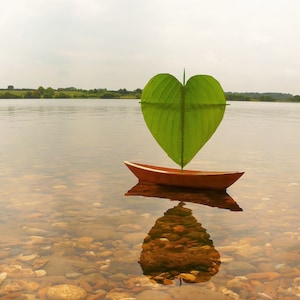 photocartes postales de bateau à rames Dory de coeur |  Cartes Hearty | coeur de voilier modèle réduit | voilier unique coeur sculpté à la main | Carte Bateau