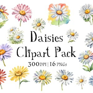 Pack de cliparts marguerites aquarelles - Ensemble d'images clipart premium - Cottagecore - oeuvres d'art fantaisistes de style campagnard - PNG transparents - Floral - Fleurs
