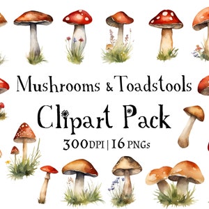 Ensemble de clipart champignons et champignons aquarelles - Ensemble d'images clipart premium - Cottagecore - Style country fantaisiste - PNG transparents - Fée