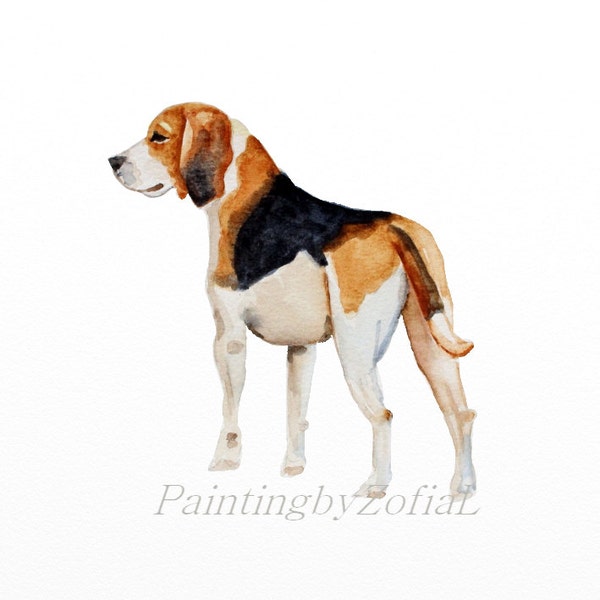 beagle original watercolor painting dog painting beagle painting  25x25cm (10x10inch)