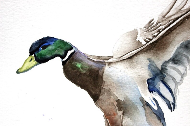 Duck watercolor clipart flying duck clipart mallard duck | Etsy