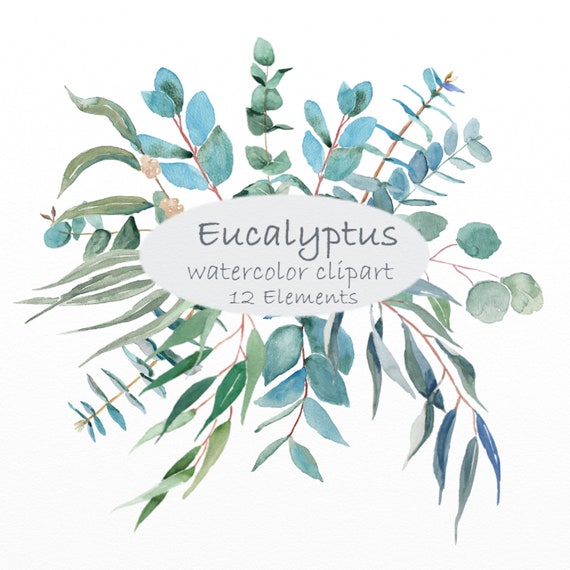 Eucalyptus watercolor clipart green blue botanical clipart | Etsy