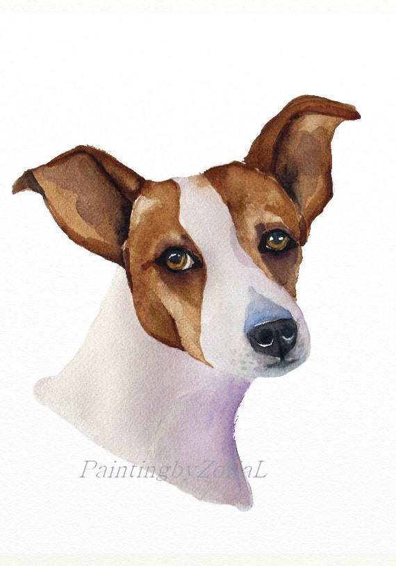 jack RusselloriginalAquarellGrösse 9 x 12 Zoll 23 x 31 cm  Etsy