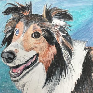 Personalized Pet Colored Pencil Drawings