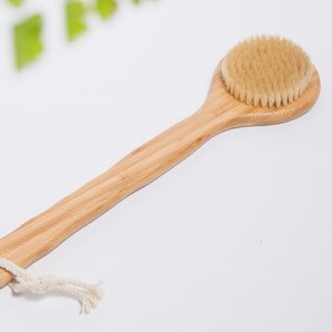 Detox Dry Body Brush, Eco Friendly Self Care Dry Skin Brushing, Vegan Dry  Body Brush for Cellulite, Good Health 