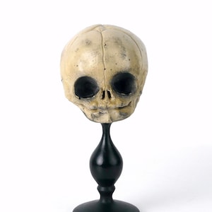 Small fetal skull on a black turned wooden stand - Goth Chic Curiosity - Oddity