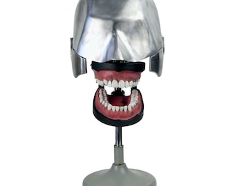 Tête fantôme dentaire vintage des années 50/60 - Tête d’étude - Chirurgie dentaire - Cabinet de curiosités