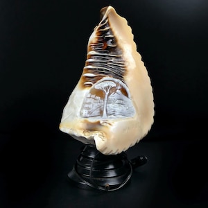 Puede incluir: Una lámpara de concha de mar tallada con una escena detallada de una ciudad y un árbol. La concha es de color marrón claro con un borde marrón más oscuro. La lámpara está sobre una base negra con un cable.